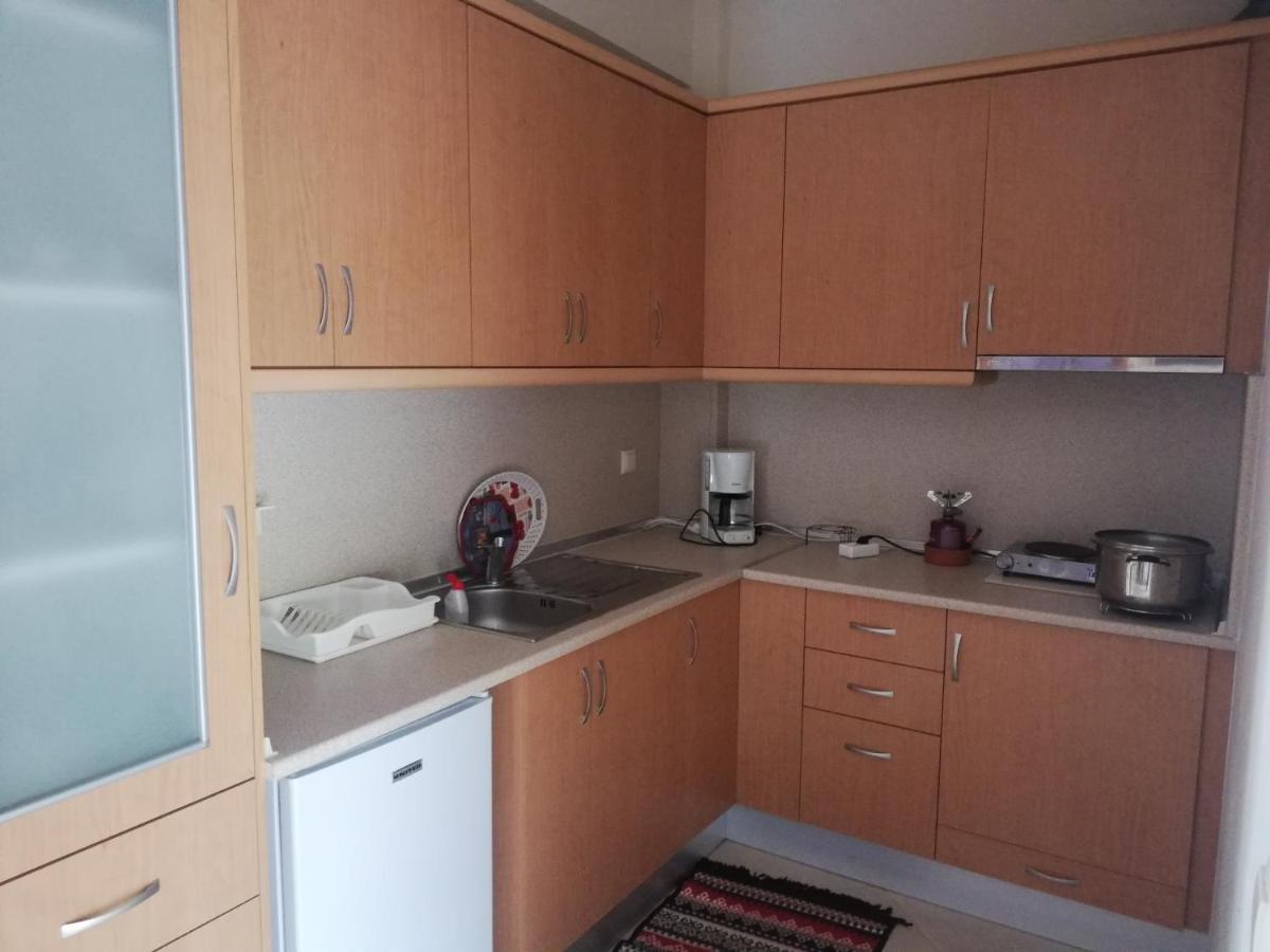 Σπιτι Στουσ Προποδεσ Του Ολυμπου Apartment Leptokaryá Ngoại thất bức ảnh
